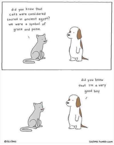 Hunde Memes-Beitrag-Bild