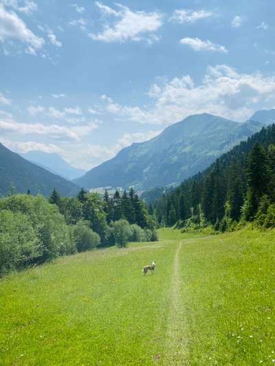 Bergfreunde-Beitrag-Bild