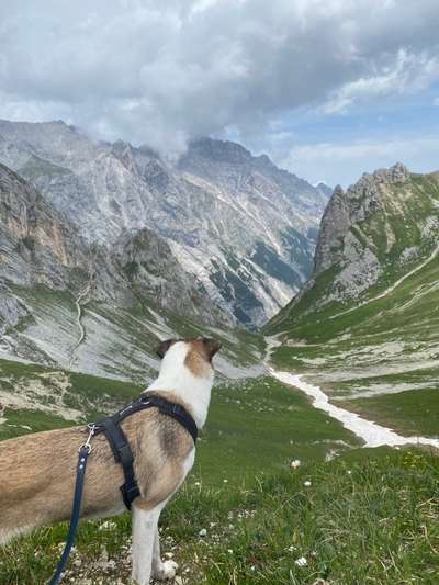 Bergfreunde-Beitrag-Bild