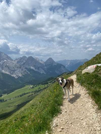 Bergfreunde-Beitrag-Bild