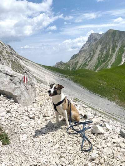 Bergfreunde-Beitrag-Bild