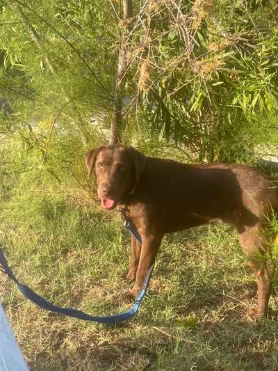 Durchfall im Urlaub-Beitrag-Bild