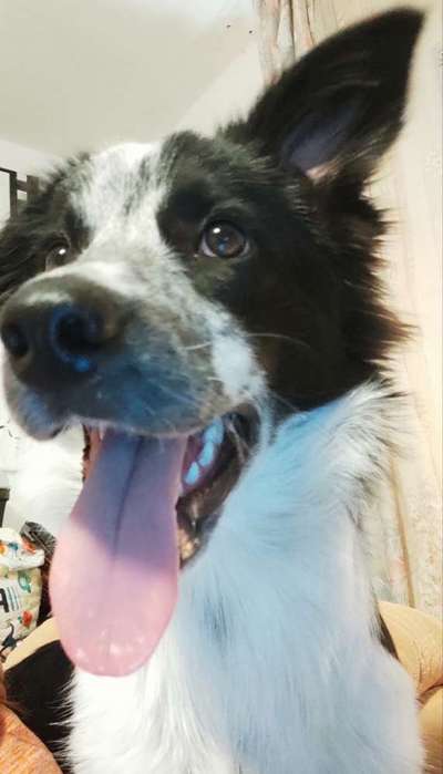 Lustige Bilder-Beitrag-Bild