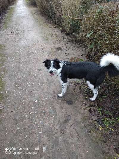 Lustige Bilder-Beitrag-Bild