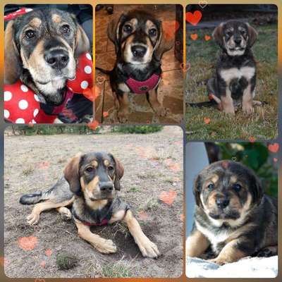 Lieblingsbild-Beitrag-Bild