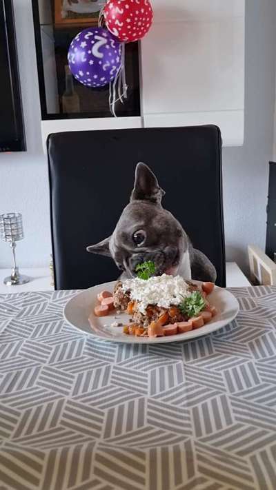 Dogorama Foto Challenge - Bestes gestelltes Bild-Beitrag-Bild