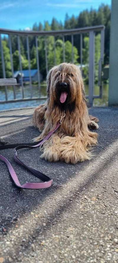 Handyfoto challenge Nr. 13: Waschlappen raus!-Beitrag-Bild