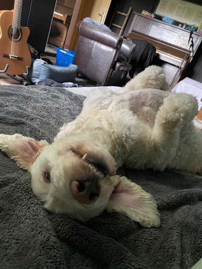 Fotochallenge Nr.65-Beitrag-Bild