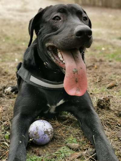 Lieblingsbild-Beitrag-Bild