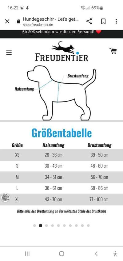 Hundegeschirr zu verkaufen-Beitrag-Bild