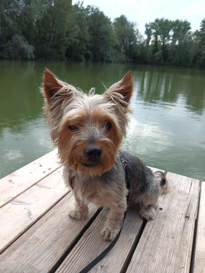 Freude und lachen-Beitrag-Bild