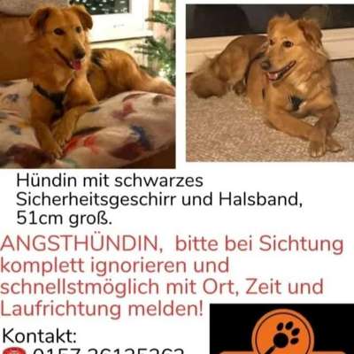 Suchmeldung-April-Bild