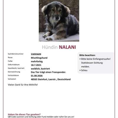 Suchmeldung-Nalani-Bild