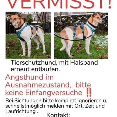 Suchmeldung-Erik-Bild