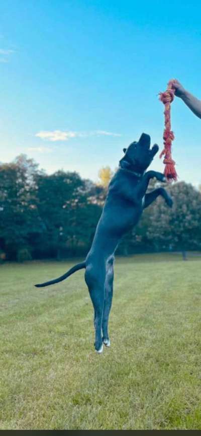 Fotochallenge Nr. 52 „Spring!“-Beitrag-Bild