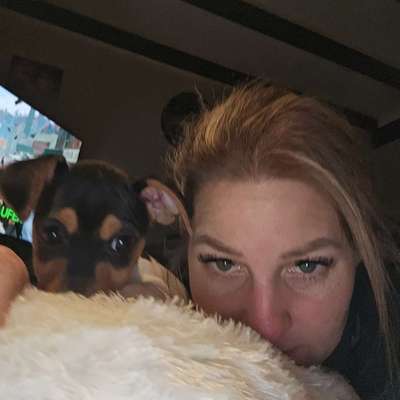 Hundetreffen-Spielen und andere Hunde kennen lernen