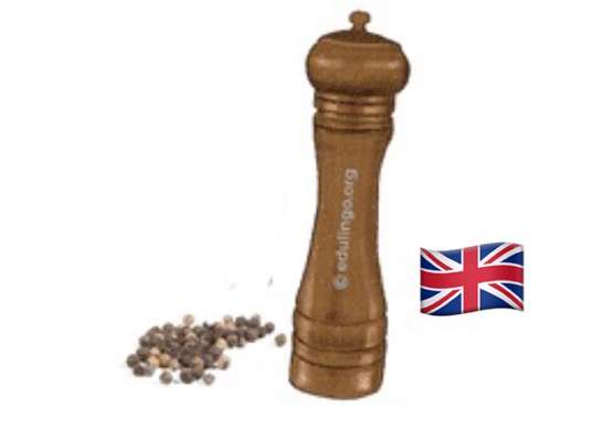 Wie heißt dein Hund?-Beitrag-Bild