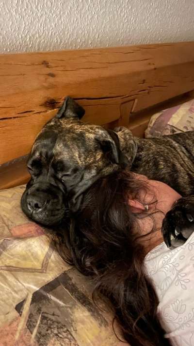 Gemeinsames Kuscheln im Bett!-Beitrag-Bild