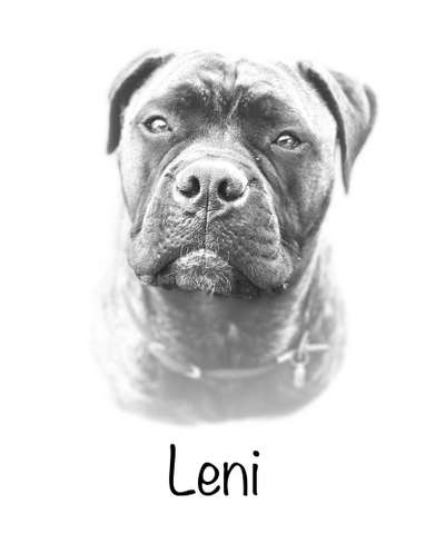 Foto-Challenge 76: Foto in Schwarz-Weiss-Beitrag-Bild