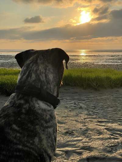 Fotochallenge Nr. 62 Romantische Momente-Beitrag-Bild