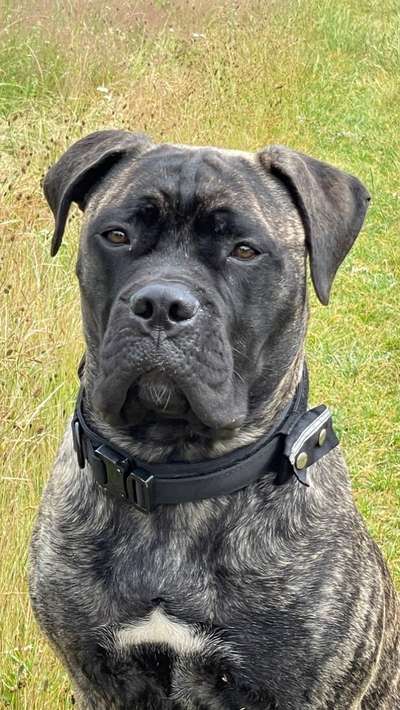 Fotochallange Nr. 57     PORTRÄT.   Beendet!!!!!!!!-Beitrag-Bild