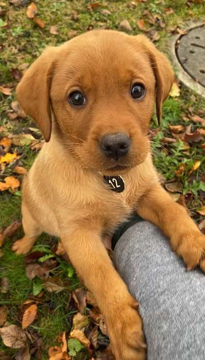 Fotochallange Nr. 57     PORTRÄT.   Beendet!!!!!!!!-Beitrag-Bild