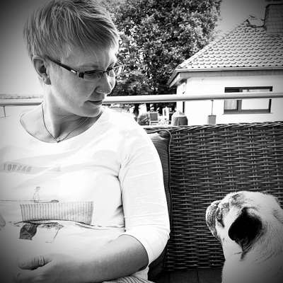 Hundetreffen-Hundebegegnungen üben / Spaziergänge-Profilbild