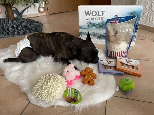 rüde jonny stark Inkontinent-Beitrag-Bild