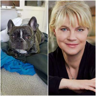 Wie heißt dein Hund?-Beitrag-Bild