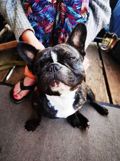 Challenge Nr. 10: "Das schönste Lächeln"-Beitrag-Bild