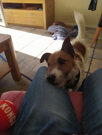 147. Foto Challenge: Bettelblick-Beitrag-Bild