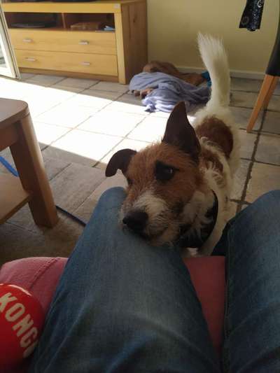 147. Foto Challenge: Bettelblick-Beitrag-Bild