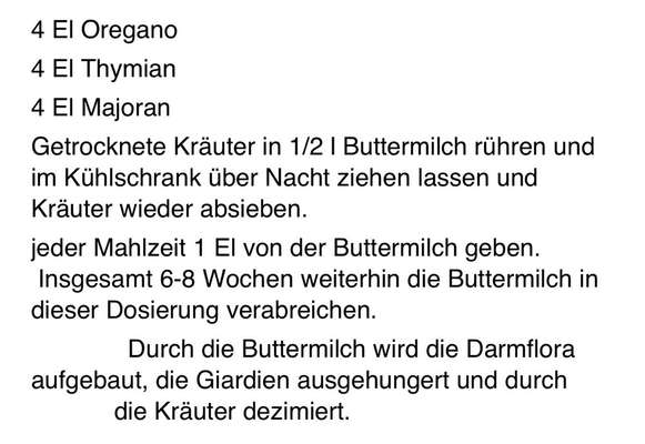Brauche eure Hilfe! Giardien - Ernährung-Beitrag-Bild