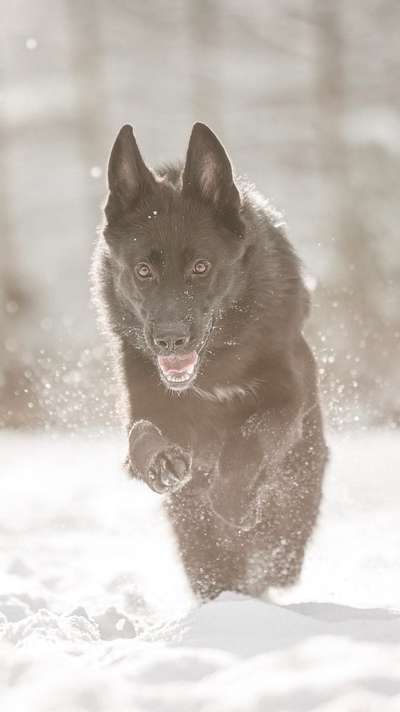 %{de_profession_title}-Schneeshooting-Bild