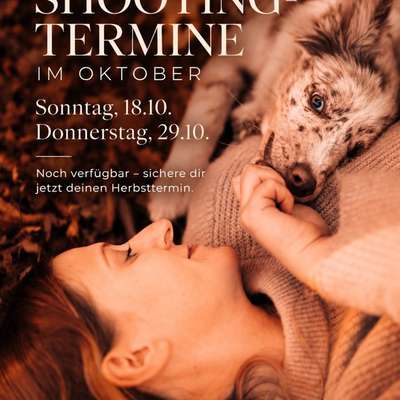 %{de_profession_title} Frei Shootingtermine im Herbst %{location} – Dogorama