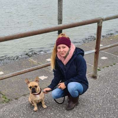 Hundetreffen-Spielpartner-Profilbild