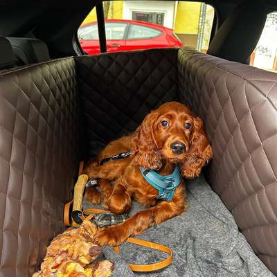 Autofahren und Reiseübelkeit-Beitrag-Bild