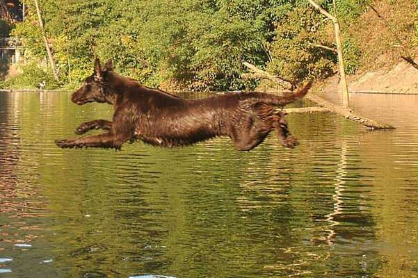 Fotochallenge No. 26                                     Wald und Wiese-Beitrag-Bild
