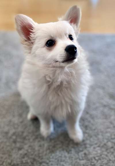 Fotochallange Nr. 57     PORTRÄT.   Beendet!!!!!!!!-Beitrag-Bild