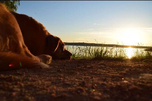 Theos Fotochallange Nummer 4-Beitrag-Bild