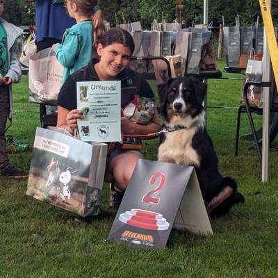 Hundetreffen-Spiel und Gassifreund gesucht-Bild