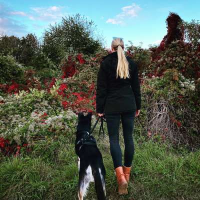 Katharina's Profilbild