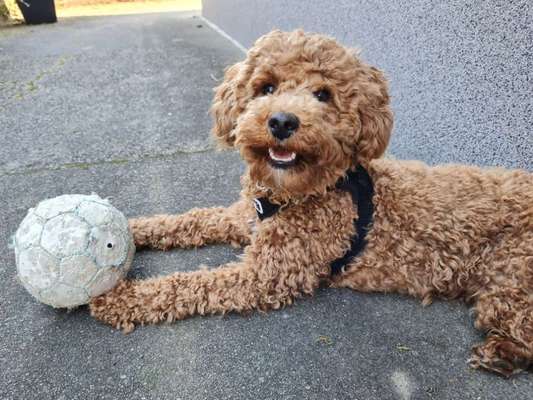 Doppelgänger gesucht !-Beitrag-Bild