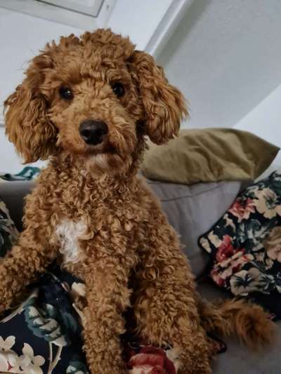 Doppelgänger gesucht !-Beitrag-Bild