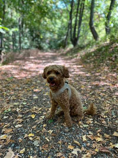 Doppelgänger gesucht !-Beitrag-Bild