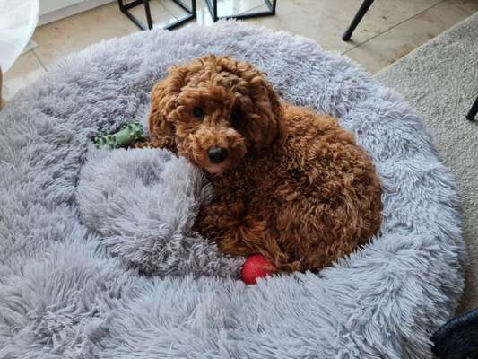 Doppelgänger gesucht !-Beitrag-Bild