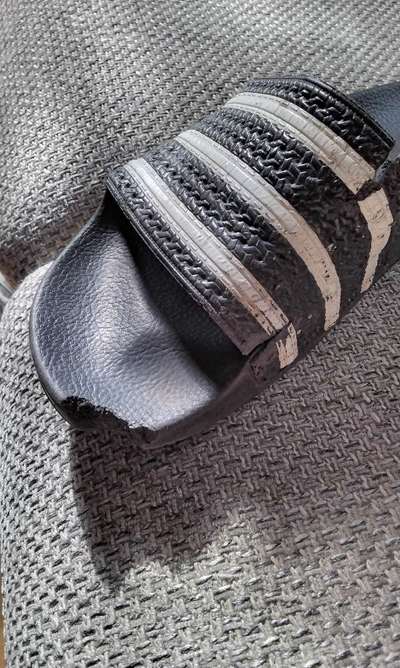 Zeig mir, dass du mit einem hund zusammenlebst....-Beitrag-Bild