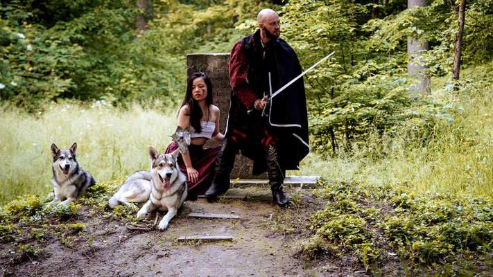 Foto's und Hundemodels-Beitrag-Bild