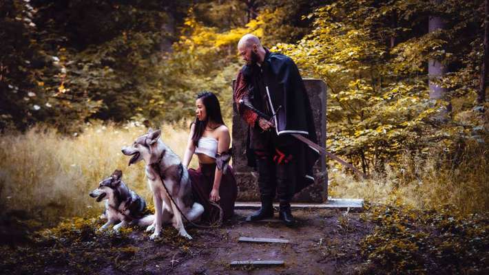 Foto's und Hundemodels-Beitrag-Bild