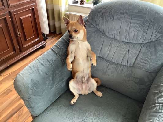 Fotochallenge Nr.65-Beitrag-Bild